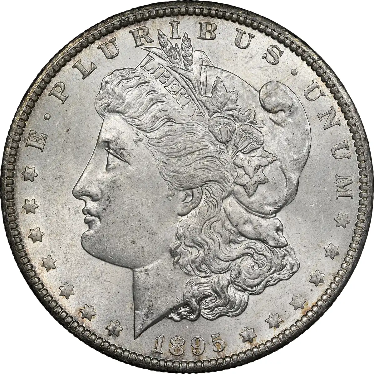 1895-O-Morgan-Grading